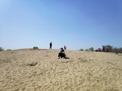 -东郊湿地公园