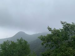 -阳台山自然风景区