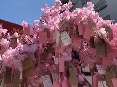 -同济大学(嘉定校区)