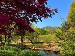 -白马涧龙池景区