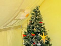 -Supine Bistro溯泮餐厅