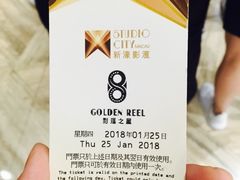 -影汇之星8字形摩天轮