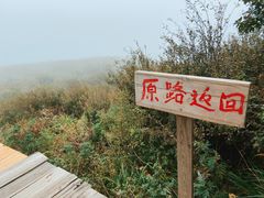 -白草畔自然风景区