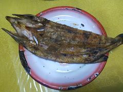 -煲来饱去冷水鱼