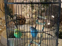 -云中漫步·足疗养生会馆(金开店)