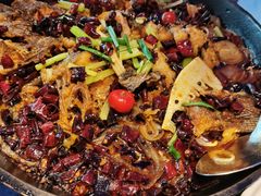 -老板恋上鱼(恒隆广场店)