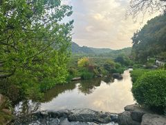 -中国茶叶博物馆(双峰馆区)
