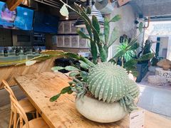 -三秋舍·梦幻岛(小西路店)