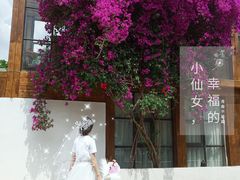 -三圣花乡旅游区