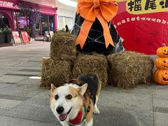 -SM城市广场(扬州店)
