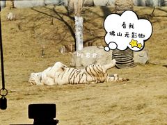 -北京野生动物园