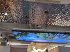 -探窝·竹笙椰子鸡(杨箕店)