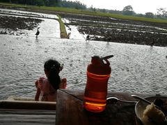 -Pundi Pundi Restaurant