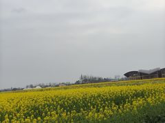 -中国天府农业博览园