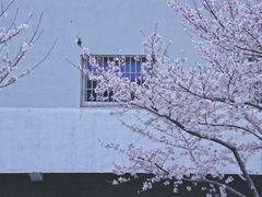 -永乐路-路侧停车场