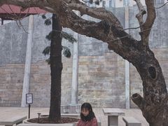 -大馆(前中区警署建築群)