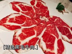 -汤城·料青山