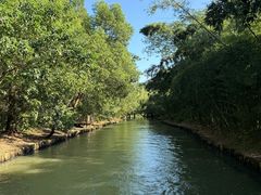 -同里国家湿地公园