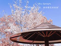 -大宁公园