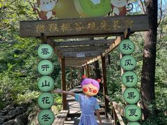 -大岭沟猕猴桃谷风景区