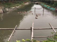 -乡乐园蟹庄·阳澄湖农家乐