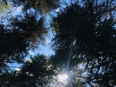 -硗碛藏寨·神木垒景区