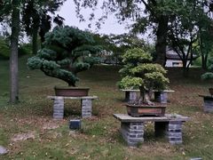-盆景园(扬州大运河文化旅游度假区)