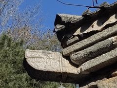 -白水寺森林公园