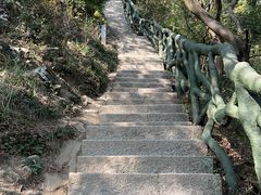 -梧桐山风景名胜区