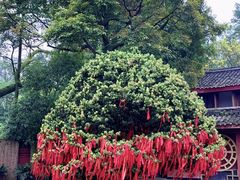 -峨眉山报国寺