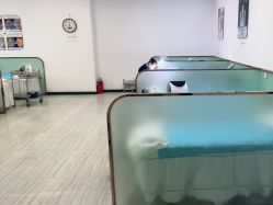 -悟空祛痘·亚健康皮肤管理中心