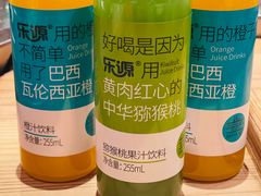 -二胖家铁锅炖大鹅(双井店)