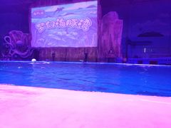 -华夏文旅海洋公园