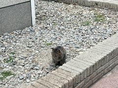 -湖北美术学院(昙华林校区)