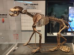 -北京周口店北京人遗址博物馆