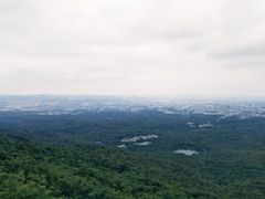 -紫金山山顶公园
