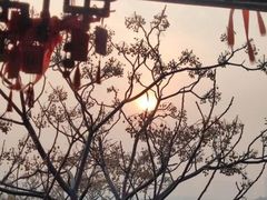 -中国翰园碑林