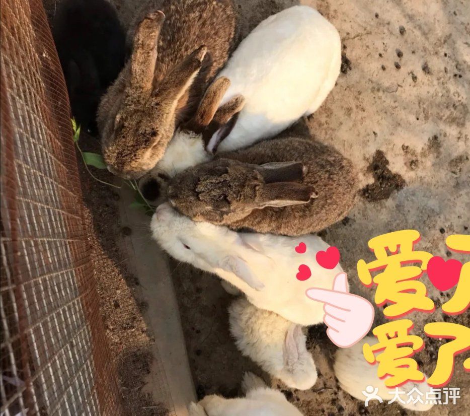 不可错过的亲子游乐