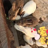 不可错过的亲子游乐