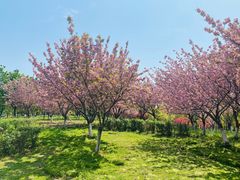 -白塘生态植物园
