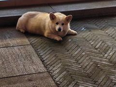 -黎阳老街