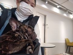 -Let's go狗咖·猫咖·奶狗·桌游(春熙路IFS店)