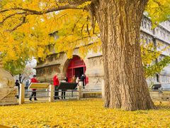 -北京石刻艺术博物馆(五塔寺)