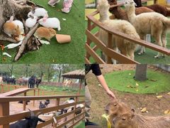 -盈香心动乐园