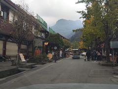 -青城山