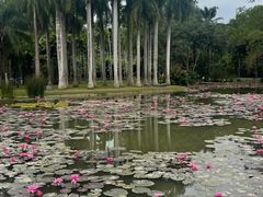 -中国科学院西双版纳热带植物园