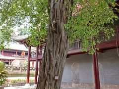 -南华禅寺
