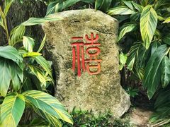 -清源山风景区