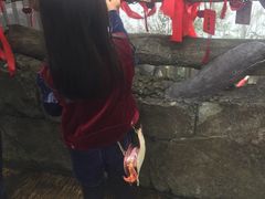 -东部华侨城