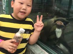 -无锡动物园·太湖欢乐园